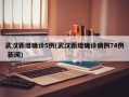 武汉新增确诊5例(武汉新增确诊病例74例 新闻)