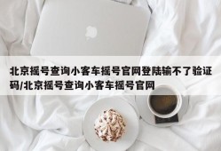 北京摇号查询小客车摇号官网登陆输不了验证码/北京摇号查询小客车摇号官网