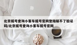 北京摇号查询小客车摇号官网登陆输不了验证码/北京摇号查询小客车摇号官网