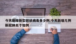 今天新增新型冠状病毒多少例:今天新增几例新冠肺炎个怕例