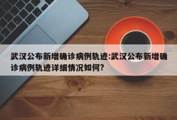 武汉公布新增确诊病例轨迹:武汉公布新增确诊病例轨迹详细情况如何?
