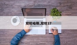 双枪哈斯,双枪17