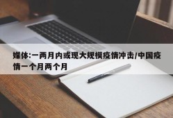 媒体:一两月内或现大规模疫情冲击/中国疫情一个月两个月