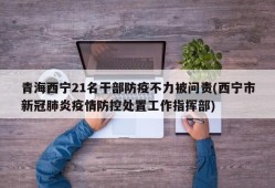 青海西宁21名干部防疫不力被问责(西宁市新冠肺炎疫情防控处置工作指挥部)