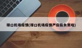 禄口机场疫情(禄口机场疫情严应骏负责啥)