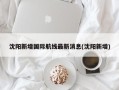 沈阳新增国际航线最新消息(沈阳新增)