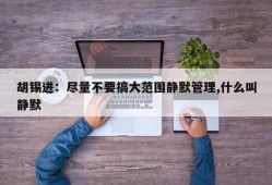 胡锡进：尽量不要搞大范围静默管理,什么叫静默
