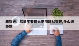 胡锡进：尽量不要搞大范围静默管理,什么叫静默