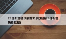 29日新增确诊病例31例(疫情29日新增确诊数据)