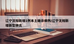 辽宁沈阳新增1例本土确诊病例/辽宁沈阳新增新型肺炎