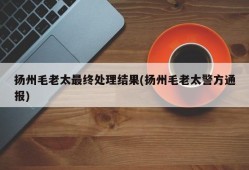 扬州毛老太最终处理结果(扬州毛老太警方通报)