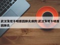 武汉发现不明原因肺炎病例:武汉发现不明原因肺炎