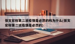 张文宏称第二波疫情是必然的吗为什么(张文宏称第二波疫情是必然的)