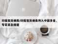 印度变异病毒/印度变异病毒传入中国多省,专家紧急提醒
