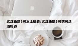 武汉新增3例本土确诊/武汉新增3例病例活动轨迹