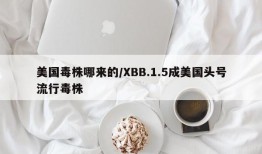 美国毒株哪来的/XBB.1.5成美国头号流行毒株