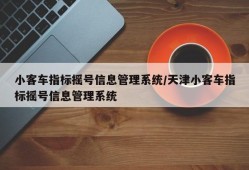 小客车指标摇号信息管理系统/天津小客车指标摇号信息管理系统