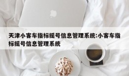 天津小客车指标摇号信息管理系统:小客车指标摇号信息管理系统