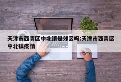 天津市西青区中北镇是郊区吗:天津市西青区中北镇疫情
