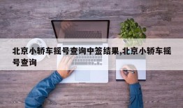 北京小轿车摇号查询中签结果,北京小轿车摇号查询