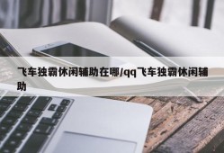 飞车独霸休闲辅助在哪/qq飞车独霸休闲辅助
