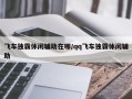 飞车独霸休闲辅助在哪/qq飞车独霸休闲辅助