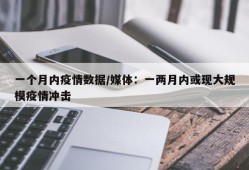 一个月内疫情数据/媒体：一两月内或现大规模疫情冲击