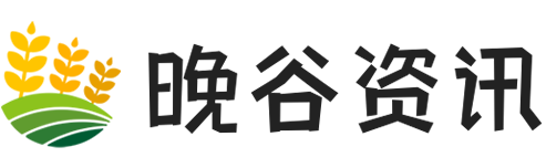 晚谷资讯网